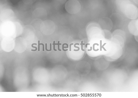gray abstract bokeh background from nature environment