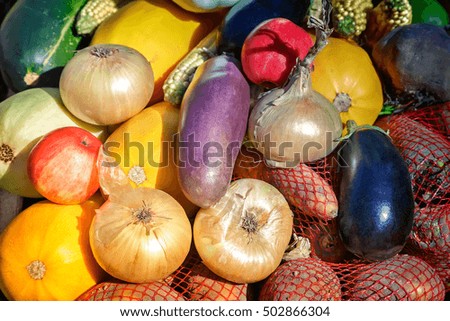 A variety of vegetables: onions, carrots, potatoes, pumpkins, squash, corn, apples offered for sale at the fair.