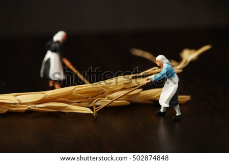 The miniature figure model in action of use agriculture tool in the scene appear ear of grain as a background.