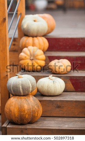 Pumpkins on the stairs. Halloween autumn backgrounds. 