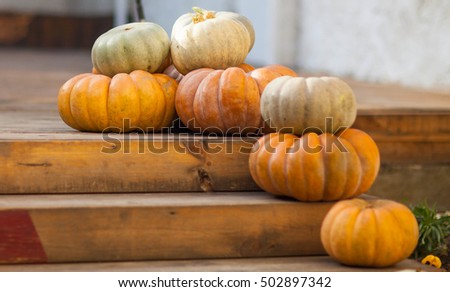 Pumpkins on the stairs. Autumn backgrounds. 