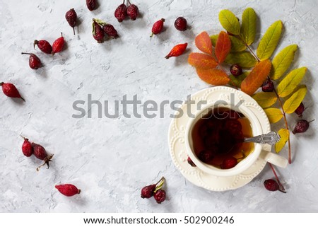 Tea from rose hips, autumn leaves and a warm scarf on a concrete background. Seasonal, vitamin drink, Sunday to relax and still life concepts.