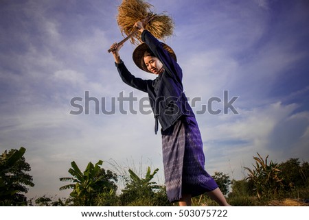 Young  Asian threshing rice on blue sky for background, Thai lifestyle concept.