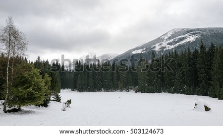 western carpathian mountain tops in winter covered in snow on a sunny day. slovakia