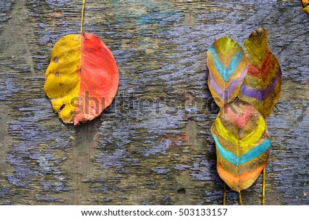 Autumn background decoration with leaf 