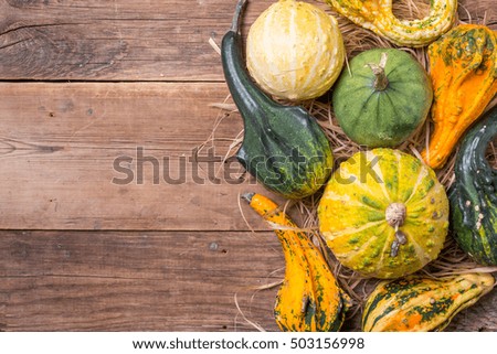 Autumn  frame from decorative Pumpkins over wooden background, top view