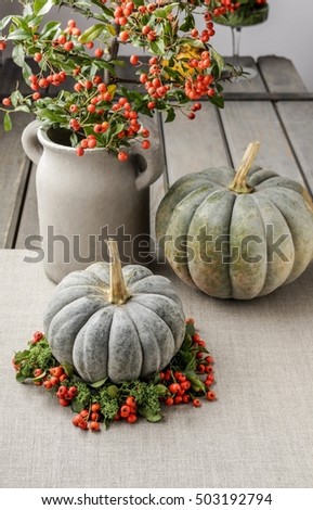 Green pumpkin decorated with red berries (cotoneaster horizontalis) and green moss wreath.