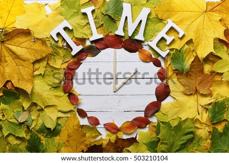 watches from leaves on a white wooden background
