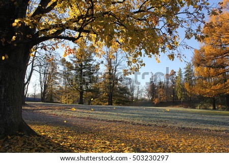 
First frosty autumn morning in the park