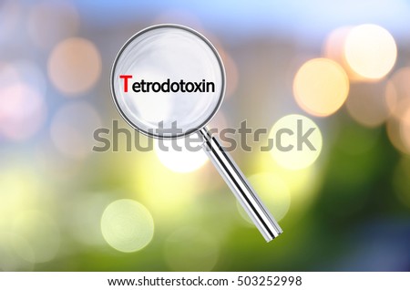 Magnifying lens over background with text Tetrodotoxin, with the blurred lights visible in the background. 3D rendering.