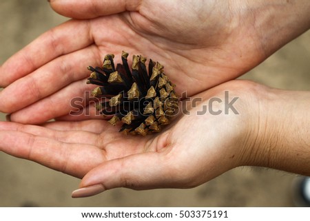 Cone in girl's hands