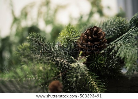 Pine and cone picture as post card on Christmas's new year, include the color of silver, gold, silver and natural cone.