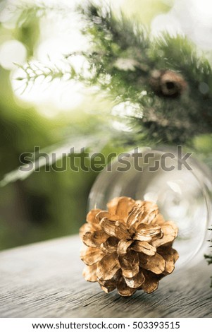 Pine and cone picture as post card on Christmas's new year, include the color of silver, gold, silver and natural cone.