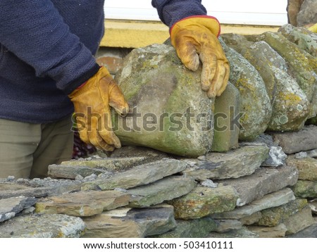 Artisan stonemason craftsman repairing ancient stone wall, Orkney. He is carrying out dyke work to top the wall. Royalty-Free Stock Photo #503410111