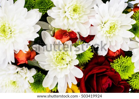 Elegant bouquet of flowers close close-up. Studio Photo
