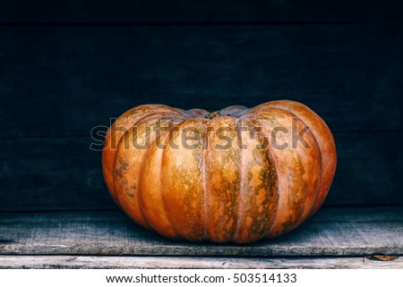 One fresh harvest farm yellow orange pumpkin with unusual funny curvy shape form on wooden shelf furniture box, with copy space for text, Halloween Thanksgiving concept, closeup