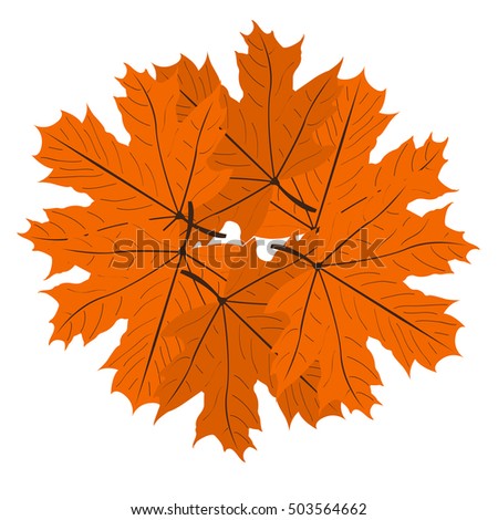 Isolated group of leaves, Thanksgiving day vector illustration