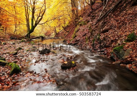 autumn landscape. colorful trees and beautiful waterfall in deep gold forest