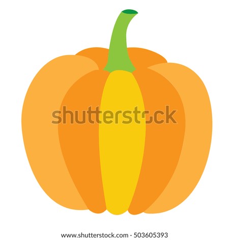 Isolated orange pumpkin, Thanksgiving day vector illustration