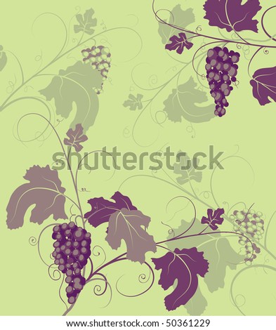 grapevine background with bunches and leaves