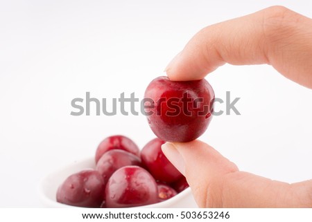 Hand holding a Cherry on a white background