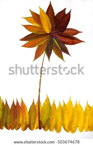 Sunflower made of autumn leafs