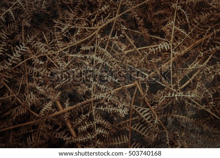 Abstract nature texture background