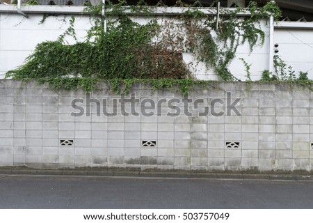 Large street wall, banners with room to add your own text