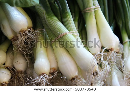 White spring onions for sale at a farmers market