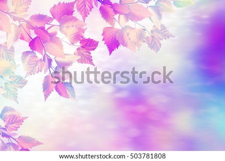 Abstract autumn background with colorful leaves. Indian summer.