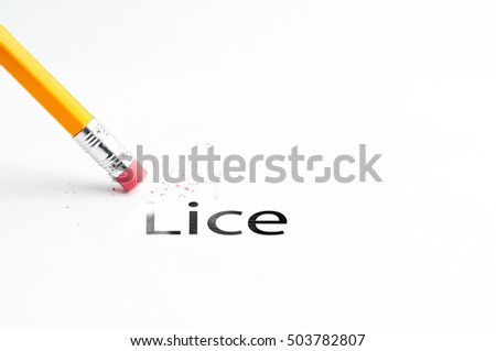 Closeup of pencil eraser and black lice text. Lice. Pediculosis. Pencil with eraser.