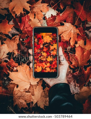 Cell phone on the colorful autumn leaves