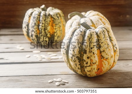 Halloween symbol. Ripe pumpkins from the farm on the wooden board