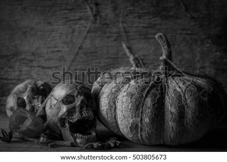 Skulls and dry pumpkin in black and white tone, background for Halloween, still life photography