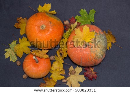 October nature concept with pumpkins, walnuts, chestnuts and autumn leaves