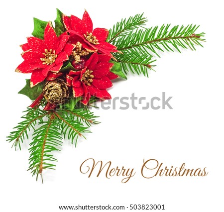 Christmas decoration on a white background 
