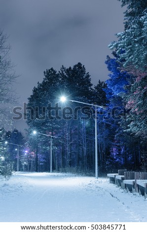 Winter park in the night time, road covered by snow, trees with christmas lights. Toned.