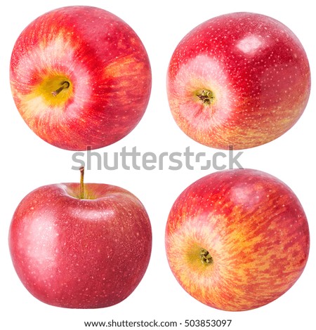 Set from apples isolated on white background with clipping path