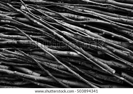 Black and white closeup image of many tree branches creating natural pattern