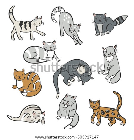 cats color vector set