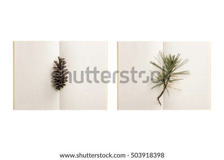 A set(group) of white(ivory) note spread with autumn leaf(leaves) for fall isolated white.