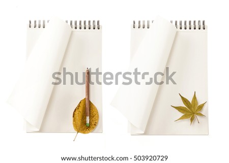 A set(group) of white(ivory) note spread with autumn leaf(leaves) for fall isolated white.