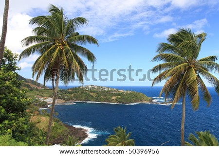 2 palm trres framing picture of St. Vincent in the Caribbean