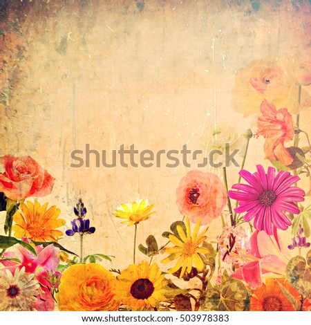 Textured old paper background with beautiful wild flowers. Nature abstract. 