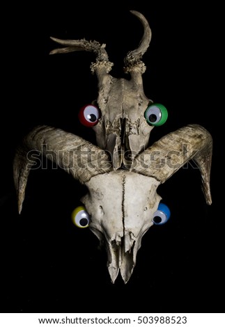 Goggle Eye Comical Skull on Black Background