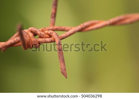 close up rusty and grunge barbed wire.