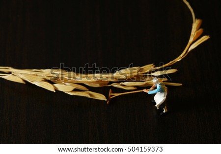 The miniature figure model in action of use agriculture tool in the scene appear ear of grain as a background.