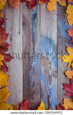 Frame. Fallen maple leaves on a rustic wooden table