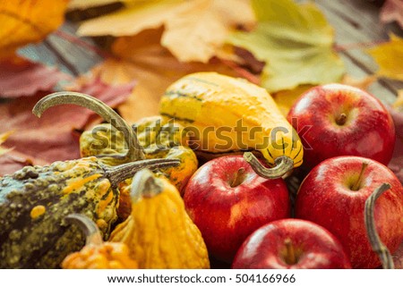Decorative gourds and apples on a rustic wooden table