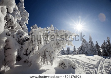 Beautiful winter landscape with snow covered trees and blue sky - Holiday and Christmas background